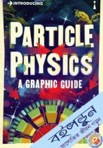 Introducing Particle Physics: A Graphic