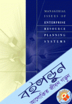 Managerial Issues of Enterprise Resource Planning Systems (Paperback)
