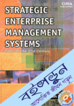 Strategic Enterprise Management Systems (Paperback)